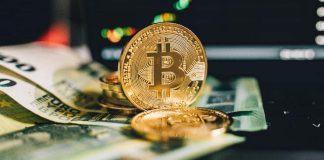 Se desploma el precio del Bitcoin a su nivel más bajo - miaminews24