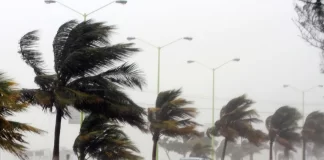 Tormenta Nicole hace desastre en el condado de Broward - miaminews24