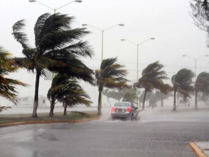 Tormenta Nicole hace desastre en el condado de Broward - miaminews24