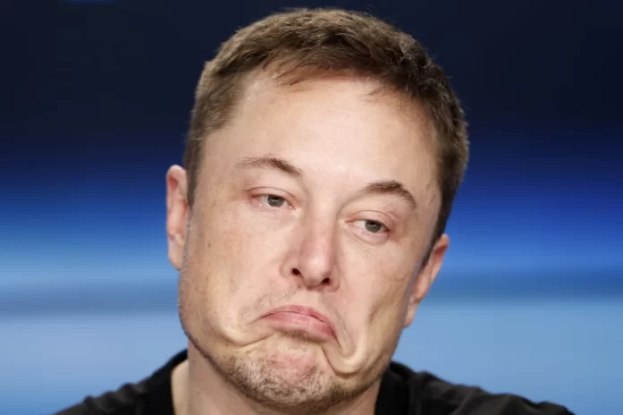 trolls insultos elon musk