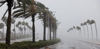 Florida tormenta subtropical Nicole-miaminews24