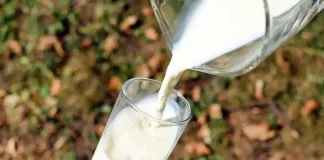 leche bueno malo salud