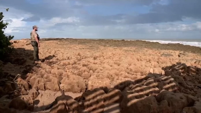restos humanos playa florida