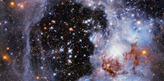 estrellas universo científicos NASA-miaminews24
