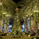 Miami llena de luces sus calles para cerrar el año 2022 Miami navidad luces 2022-miaminews24