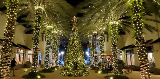 Miami navidad luces 2022-miaminews24