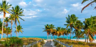 Crandon Park Souuth Miami-miaminews24