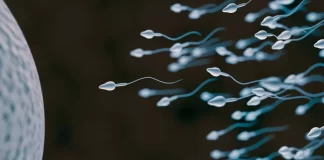 Experimentan con un nuevo método anticonceptivo masculino - miaminews24