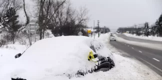 muerta nieve nueva york -miaminews24