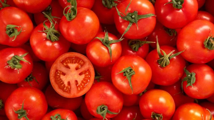 propiedades curativas del tomate