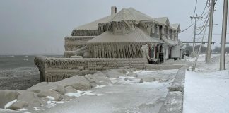 tormenta invernal elliot muertos