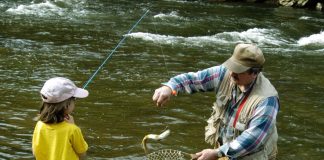 Estudio demostró que comer pescado de ríos o lagos es dañino - miaminews24