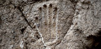 Misteriosa mano tallada es encontrada en una piedra de Jerusalén - miaminews24