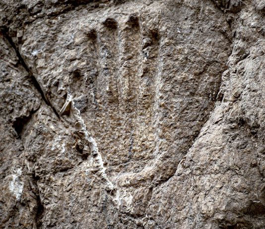 Misteriosa mano tallada es encontrada en una piedra de Jerusalén - miaminews24