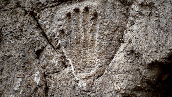 Misteriosa mano tallada es encontrada en una piedra de Jerusalén - miaminews24