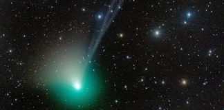 Luego de 50.000 años se verá un cometa verde en la tierra - miaminews24