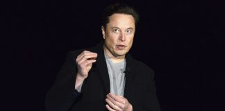 Inversiones que podrán protegerte de la inflación según Elon Musk - miaminews24