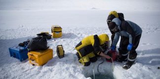 Robot submarino logró observar el deshielo en la Antártida - miaminews24