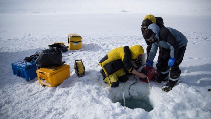 Robot submarino logró observar el deshielo en la Antártida - miaminews24
