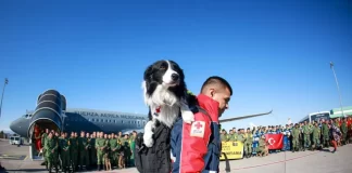 terremoto perros búsqueda rescate-miaminews24