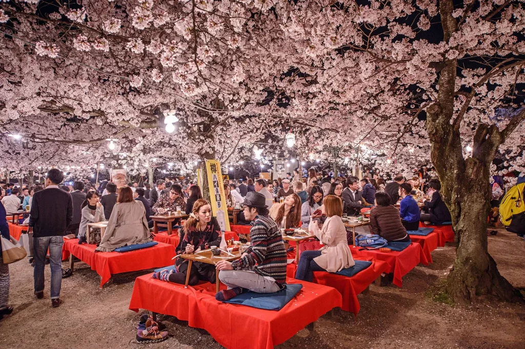 Hanami es tradición contemplativa japonesa ante los fenómenos naturales