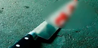 Mujer asegura que apuñaló a su ex-esposo pensando que estaba soñando mujer apuñaló exesposo-miaminews24