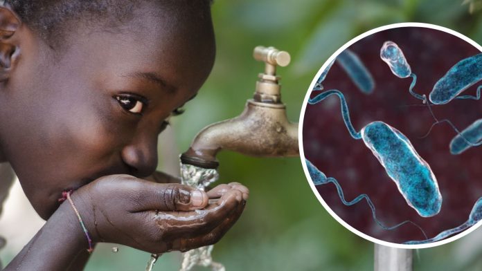 organización mundial salud cólera - miaminews24