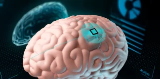 implante chip cerebro pruebas - miaminews24