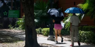 miami islas calor urbano - miaminews24