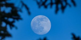 superluna-azul-evento-astronomico-miaminews24