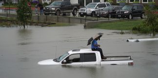 tormenta tropical sur texas - miaminews24