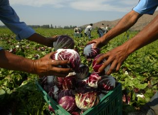 EE.UU. firma acuerdos comerciales con Argentina, Ecuador, El Salvador y Guatemala