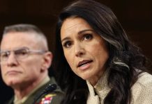 Directora de Inteligencia Nacional comparece ante el Senado