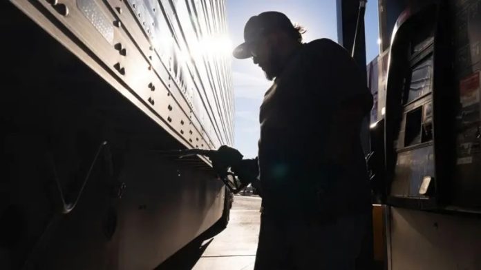 image - 2026-03-23T113706.148