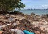 Miami-Dade se moviliza para proteger el «corazón azul» de la Bahía de Biscayne
