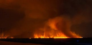 Incendio de «Max Road» devora 4,800 acres y amenaza viviendas en Miami-Dade y Broward (VIDEO)