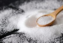 El misterio de la sal: El mecanismo biológico que transforma la comida y garantiza la supervivencia humana