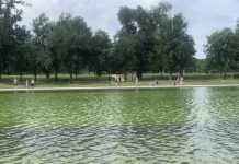 Se desprende la pintura azul del estanque del Monumento a Lincoln tras una renovación millonaria