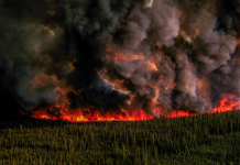 El humo de los incendios en Canadá amenaza la calidad del aire en Washington, D.C.